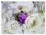 White Lilac Bouquet Anniversary E-card